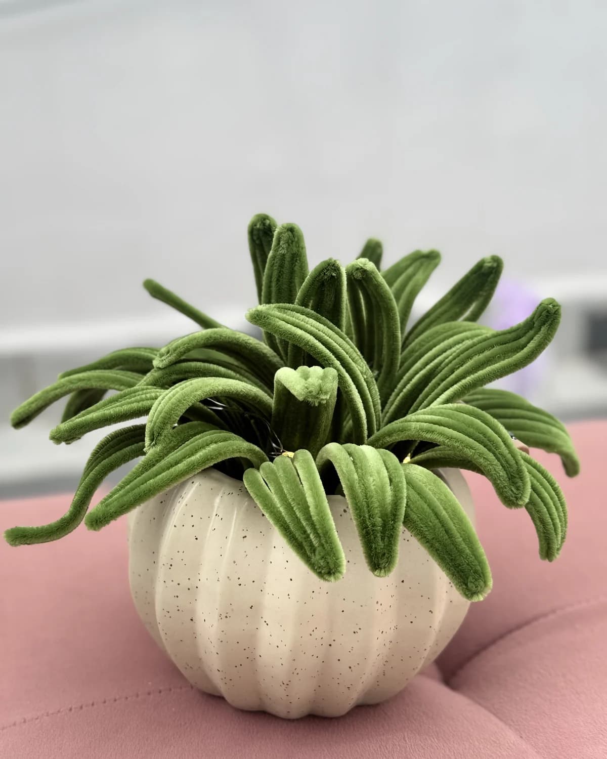 handmade chenille spider plant with long green leaves, planted in a cream ceramic pumpkin pot, view 3